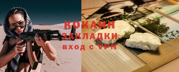 соль ск Алзамай